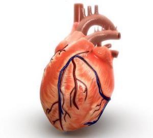 Reabilitarea cardiaca si urmarirea pacientilor dupa externarea din spital